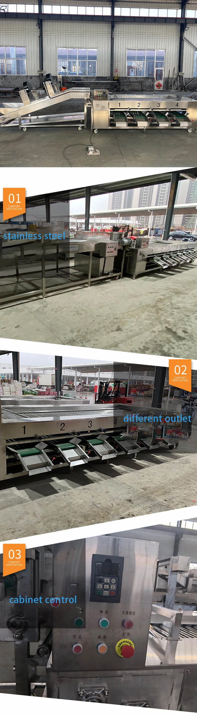 apple sorting machine 1 apple sorting machine 1
