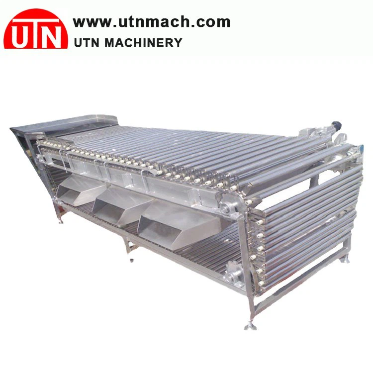Apple Sorting Machine