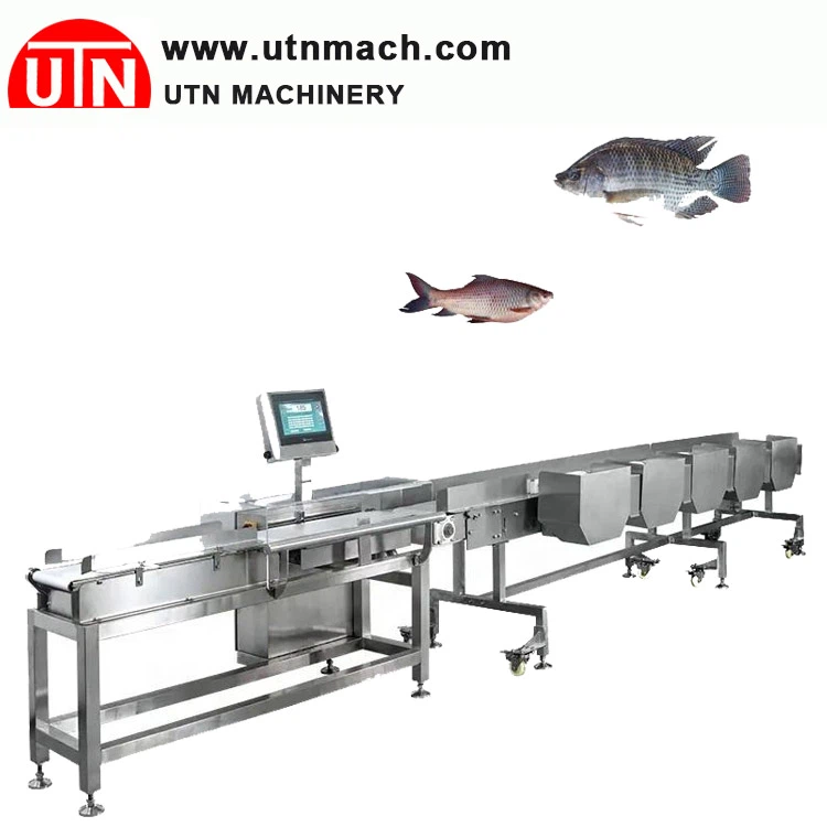 Abalone Grading Machine