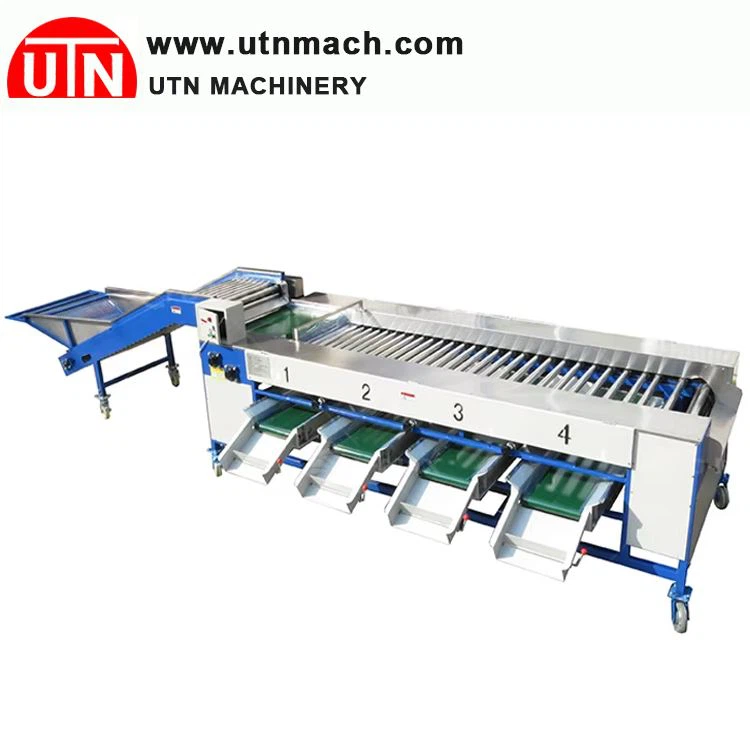 Different Size Apple Separator