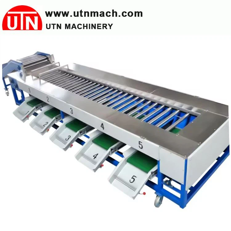 Automatic Pear Grading Machine
