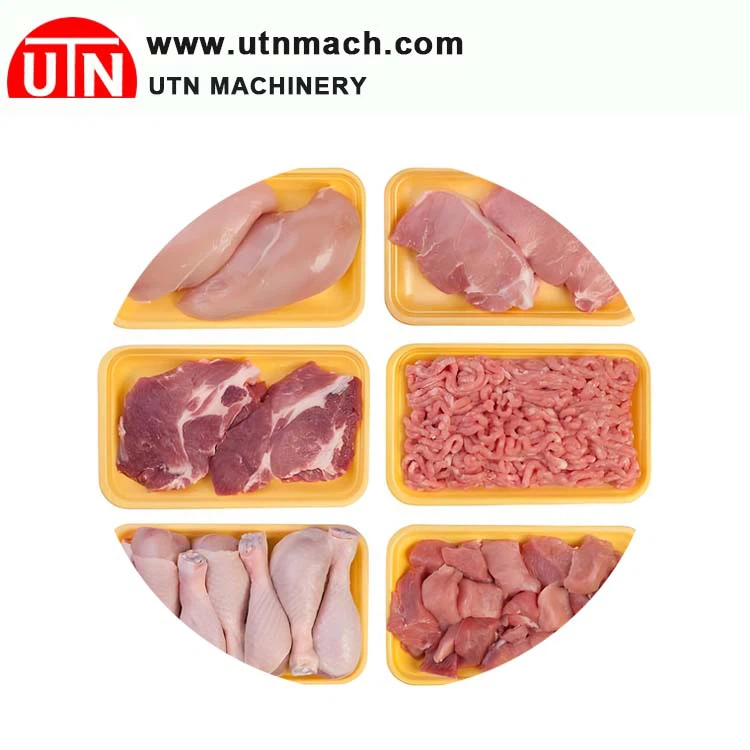 Meat Processing Equipment