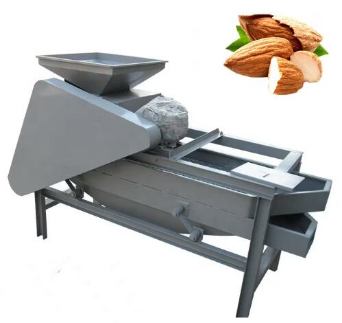 apricot shelling machine price