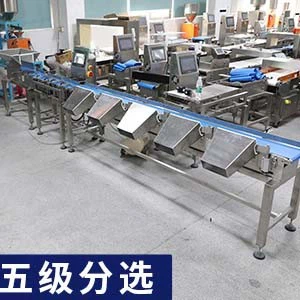 five level sorting five level sorting