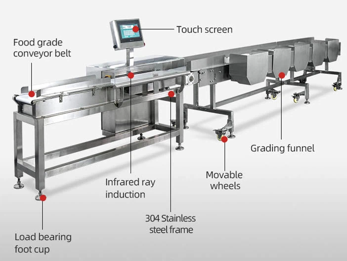 fish sorter fish sorter