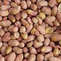 peanut peanut