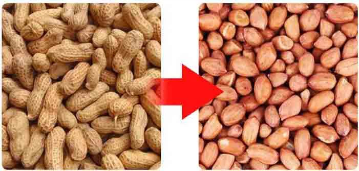 peanut peanut