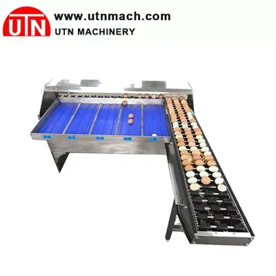 Egg Grading Machine